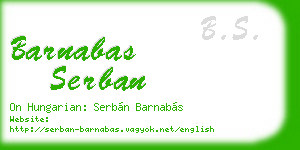 barnabas serban business card